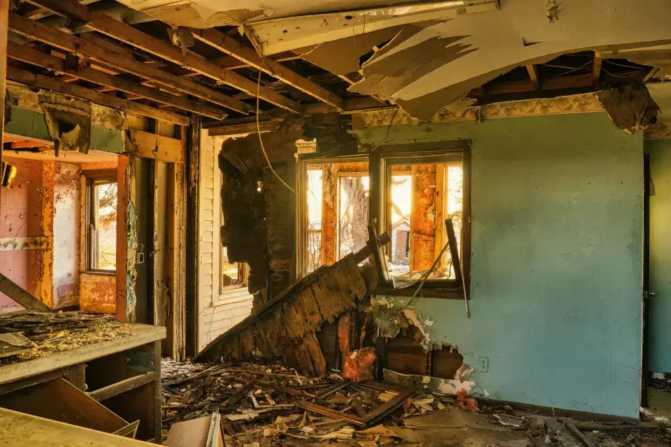 Macon's Leading Mold Removal Company: Dryexpert Mold Removal — Macon, GA