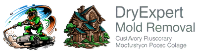 Dryexpert Mold Removal